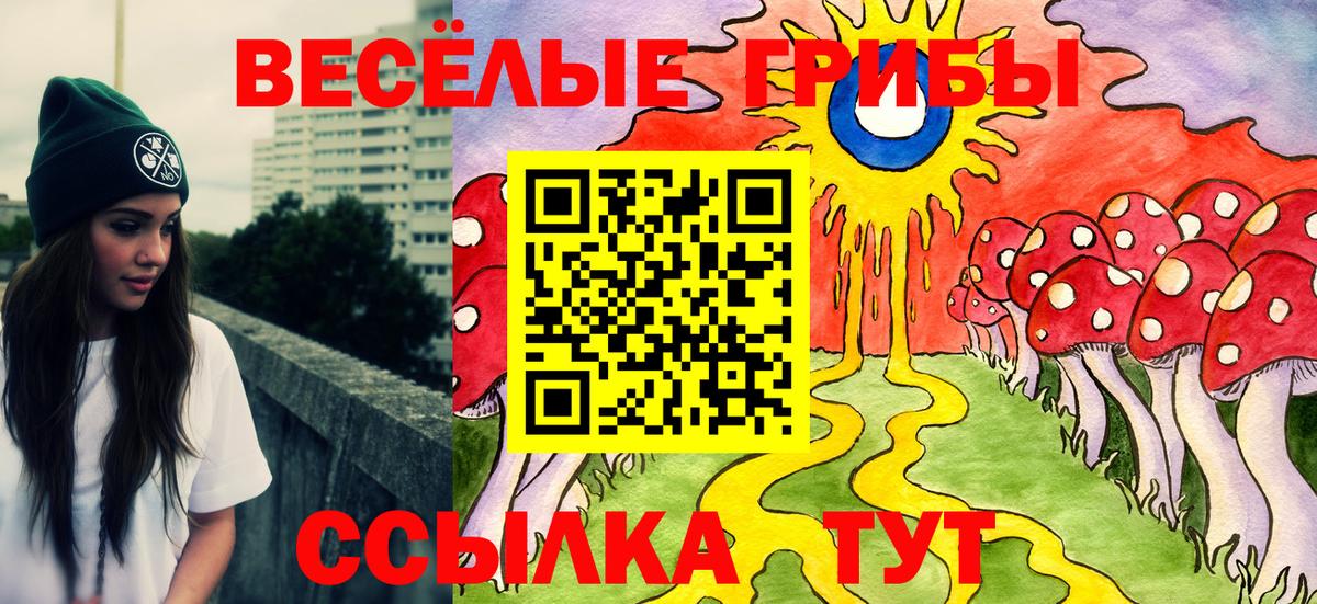 Псилоцибиновые грибы GOLDEN TEACHER  Вход с VPN  Черкесск  Галлюциногенные грибы Magic Shrooms 